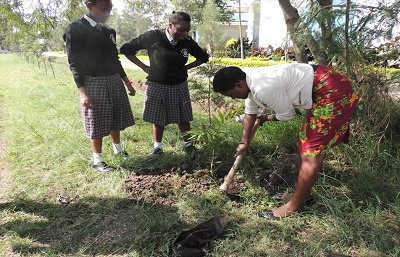 Tree Planting